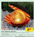 Solar-Dekolicht Muschel schwarz-kupferfarben Angebote bei toom Baumarkt Velbert für 9,99 €