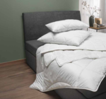 Aktuelle Kopfkissen Angebote bei hofmeister in Pforzheim Aktuelles Kopfkissen Angebot bei hofmeister in Pforzheim ab 29,99 €