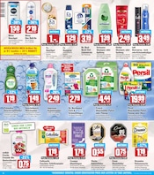 Persil im HIT Prospekt in Kaarst Aktueller HIT Prospekt mit Persil, "ECHTE VIELFALT", Seite 14
