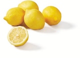 Zitronen im aktuellen Lidl Prospekt