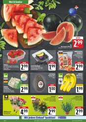 Äpfel im EDEKA Prospekt in Altenburg Aktueller EDEKA Prospekt mit Äpfel, "Wir lieben Lebensmittel!", Seite 6