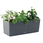 Jardinière "Balconera Color" en promo chez Jardiland Bordeaux à 34,99 €