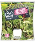 Salade Carrefour à Supermarchés Match dans Fienvillers Salade Carrefour à Supermarchés Match dans Fienvillers
