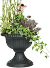 Aktuelle Blumentopf Angebote bei Rusta in Essen Aktuelles Outdoor-Töpfe Angebot bei Rusta in Essen ab 3,59 €
