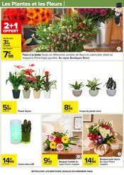 Plante Verte Angebote im Prospekt "LE MOIS MONOPOLY" von Carrefour Plante Verte Angebote im Prospekt "LE MOIS MONOPOLY" von Carrefour auf Seite 79