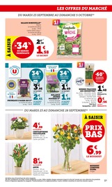 Chrysanthèmes Angebote im Prospekt "Super U" von Super U Chrysanthèmes Angebote im Prospekt "Super U" von Super U auf Seite 37