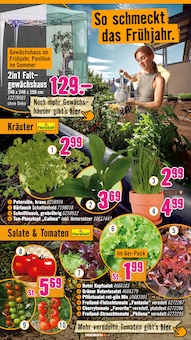 Pfanne im Hornbach Prospekt "Ran ans PROJEKT. Es ist schon Pflanzzeit." mit 36 Seiten (Darmstadt)