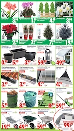 Wreesmann Heckenschere im Prospekt 