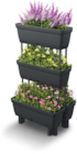 Pflanzregal 4er im Angebot bei Netto Marken-Discount in Recklinghausen Pflanzregal 4er Angebote von living&garden bei Netto Marken-Discount Recklinghausen für 9,99 €