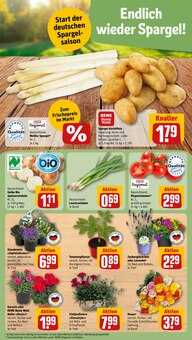 Gemüse im REWE Prospekt "Dein Markt" mit 28 Seiten (Würzburg)