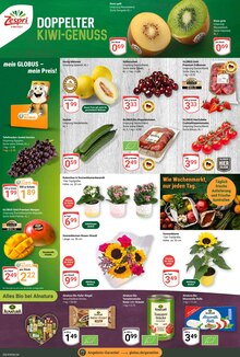 Erdbeeren im aktuellen GLOBUS Prospekt (Jena) Erdbeeren im GLOBUS Prospekt "Aktuelle Angebote" mit 40 Seiten (Jena)