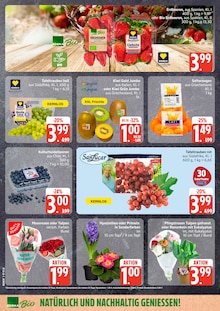 EDEKA Wittorf Prospekt der aktuellen Woche, gültig von 23.02.2026 bis 28.02.2026 Aktueller EDEKA Wittorf Prospekt "Top Angebote" mit 12 Seiten