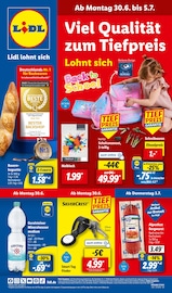Aktueller Lidl Discounter Prospekt in Dahmetal und Umgebung, "LIDL LOHNT SICH" mit 68 Seiten, 30.06.2025 - 05.07.2025