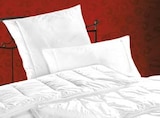 Aktuelles Kopfkissen Angebot bei Schaffrath in Mönchengladbach ab 59,95 €