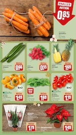 Aktueller REWE Prospekt mit Garten, "Dein Markt", Seite 9