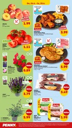 Eukalyptus Angebot & Preis im aktuellen Penny Prospekt Eukalyptus Angebot im aktuellen Penny Prospekt auf Seite 28