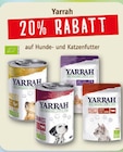 Aktuelles 20% RABATT Angebot bei Erdkorn Biomarkt in Hamburg