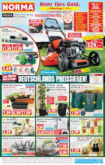 Kartoffeln im Norma Prospekt "Mehr fürs Geld" mit 18 Seiten (Mannheim)