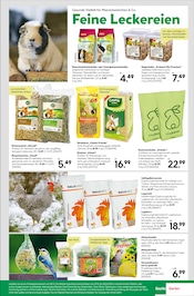 Kräuter im BayWa Bau- und Gartenmärkte Prospekt in Reutlingen Aktueller BayWa Bau- und Gartenmärkte Prospekt mit Kräuter, "Hier bin ich gern", Seite 5