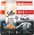 Fresh & Fine Angebote von Sheba bei Netto mit dem Scottie Dresden für 3,99 €