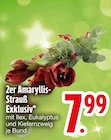 2er Amaryllis-Strauß Exklusiv  im aktuellen EDEKA Prospekt für 7,99 €