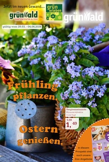 Aktueller Garten-Center Nordharz GmbH & Co. KG Prospekt (Pattensen, 16 Seiten zum blättern Garten-Center Nordharz GmbH & Co. KG Prospekt Frühling pflanzen. Ostern genießen. mit 16 Seiten