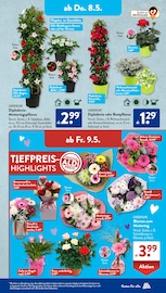 Aktueller ALDI SÜD Prospekt mit Weihrauch, "Gutes für Alle.", Seite 24