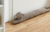 Zugluftstopper Pets Angebote bei Hagebaumarkt Siegen für 7,99 €