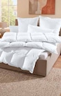 Aktuelle Kopfkissen Angebote bei Segmüller in Darmstadt Aktuelles Ganzjahresdecke Gloria Angebot bei Segmüller in Darmstadt ab 49,99 €