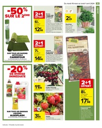 Offre Arbre Fruitier dans le catalogue Carrefour du moment à la page 53