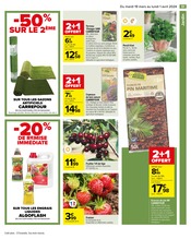 Fleurs Artificielles Angebote im Prospekt "Carrefour" von Carrefour auf Seite 53