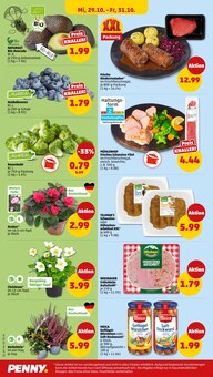 Blumen im aktuellen Penny Prospekt (Heilbronn) Blumen im Penny Prospekt "Wer günstig will, muss Penny." mit 45 Seiten (Heilbronn)