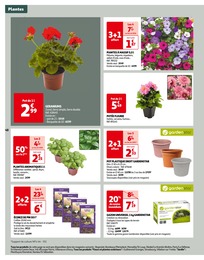 Offre Plante En Pot dans le catalogue Auchan Hypermarché du moment à la page 48