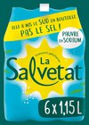 Eau minérale naturelle gazeuse - SALVETAT en promo chez Intermarché La Rochelle à 1,49 €