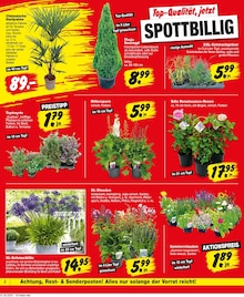 Repo Prospekt der KW 23 "Aktuelle Angebote" Aktueller Repo Prospekt "Aktuelle Angebote" Seite 2 von 16 Seiten