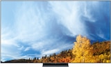 Aktuelles SQD-Mini LED TV 65C89L Angebot bei expert TeVi in Passau ab 1.199,00 €