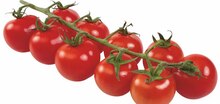 Mini-Cherryrispentomaten „Miss Perfect“ bei famila Nordost in Bielefeld Mini-Cherryrispentomaten „Miss Perfect“ im Angebot bei famila Nordost Bielefeld für 1,99 €