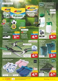 Partyzelt Angebot im aktuellen Netto Marken-Discount Prospekt auf Seite 38