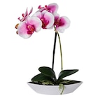 Orchidee Angebote bei POCO Fürth für 4,00 €