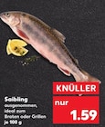 Saibling für 1,59 € bei Kaufland im Angebot Saibling im aktuellen Kaufland Prospekt