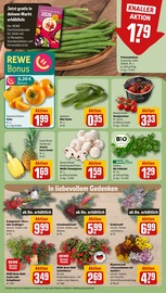 Ähnliche Tulpen Angebote im Prospekt "Dein Markt" von REWE in Aschaffenburg Ähnliche Angebote wie Tulpen im Prospekt "Dein Markt" auf Seite 9 von REWE in Aschaffenburg