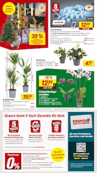 toom Baumarkt Blomberg Prospekt der aktuellen Woche, gültig von 13.12.2025 bis 24.12.2025 Aktueller toom Baumarkt Blomberg Prospekt "Respekt, wer's selber macht." mit 14 Seiten