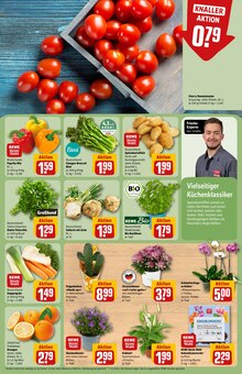 Pflanzen im aktuellen REWE Prospekt (Braunschweig) Pflanzen im REWE Prospekt "Dein Markt" mit 36 Seiten (Braunschweig)