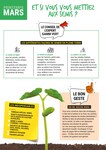 Plant De Tomates Plant De Tomates