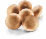 Champignon braun Angebote bei Netto Marken-Discount Karlsruhe für 1,79 €