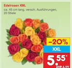 Edelrosen XXL für 5,55 € bei Netto Marken-Discount im Angebot Edelrosen XXL im aktuellen Netto Marken-Discount Prospekt