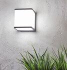 Applique extérieure led telin - INSPIRE en promo chez Weldom Applique extérieure led telin - INSPIRE dans le catalogue Weldom