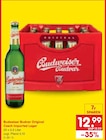 Original im Angebot bei Netto Marken-Discount in Forst Original Angebote von Budweiser Budvar bei Netto Marken-Discount Forst für 12,99 €