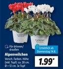 Aktuelle Pflanzen Angebote bei Lidl in Düsseldorf Aktuelles Alpenveilchen Angebot bei Lidl in Düsseldorf ab 1,99 €