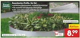 Rasenkanten Profile, 4er Set Angebote bei Netto Marken-Discount Buchholz für 8,99 €